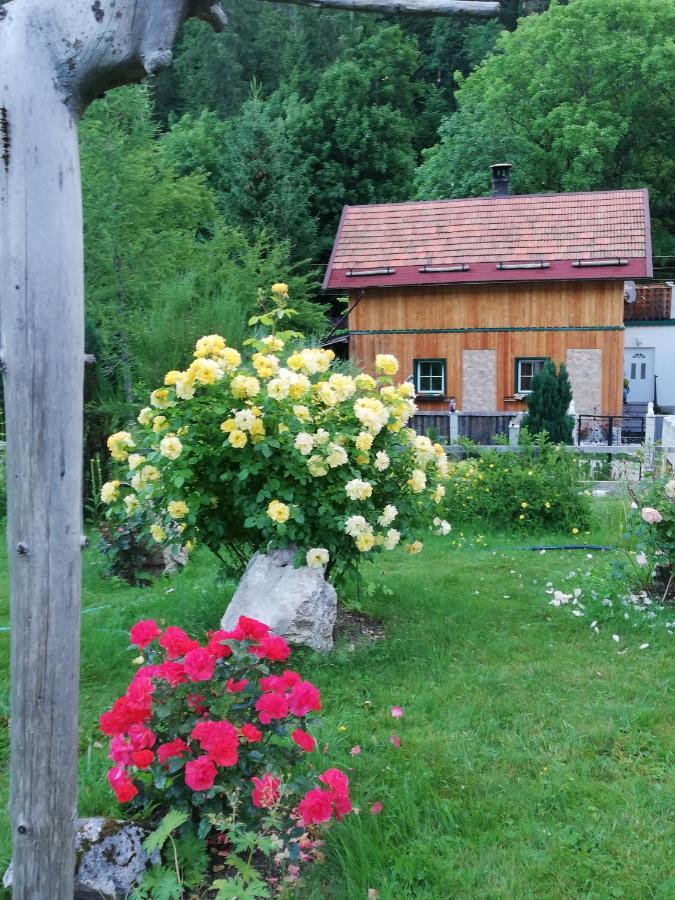 Georges Rast Villa Altaussee Eksteriør bilde