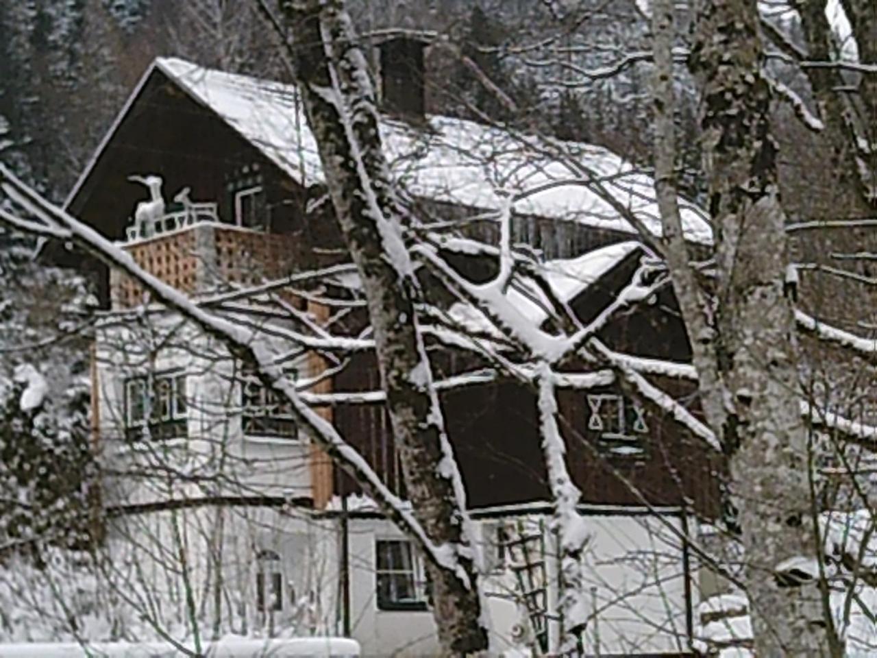 Georges Rast Villa Altaussee Eksteriør bilde