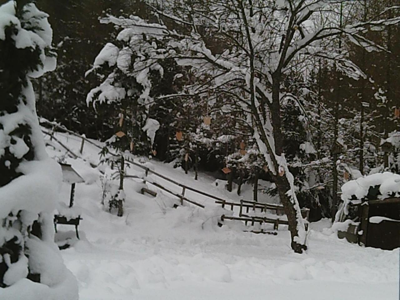 Georges Rast Villa Altaussee Eksteriør bilde