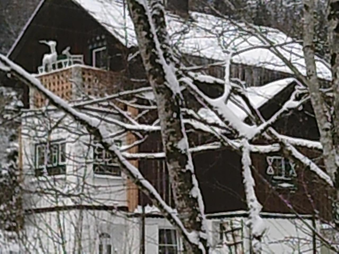 Georges Rast Villa Altaussee Eksteriør bilde